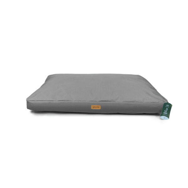 S6103860_0