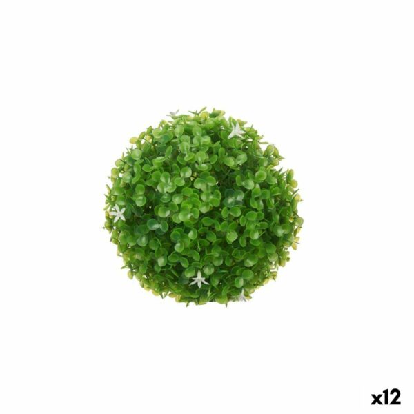 S3629244_0