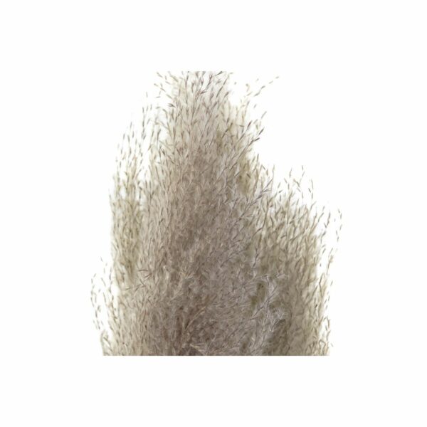 S3030677_1