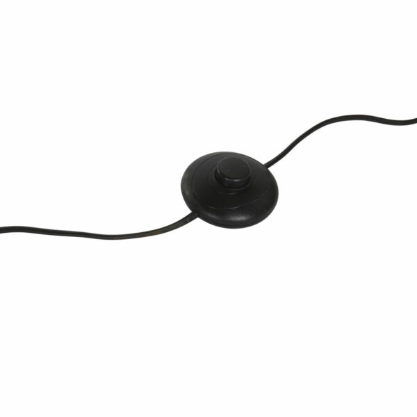 S3060736_5