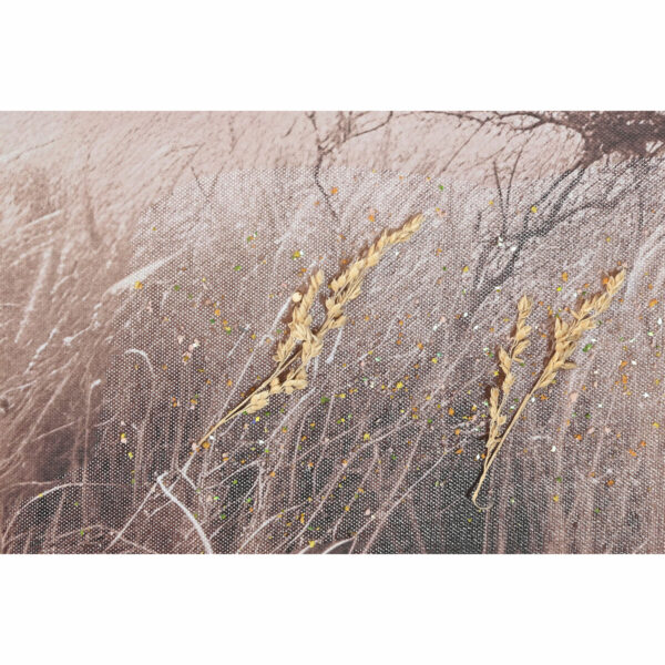 S3060511_3