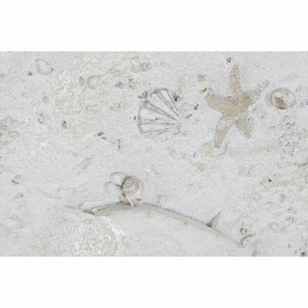 S3059919_2
