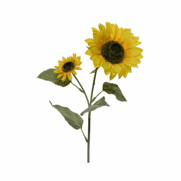S7912982_0